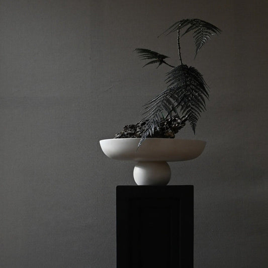 Baburu Bowl. Big - Birch